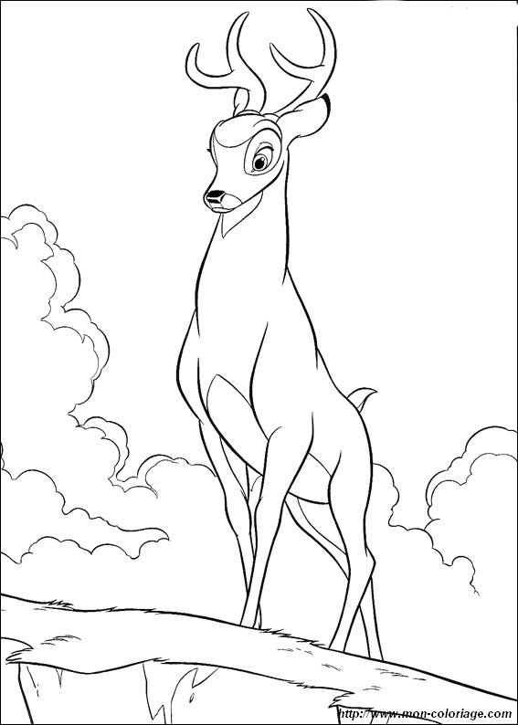 immagine Bambi 29