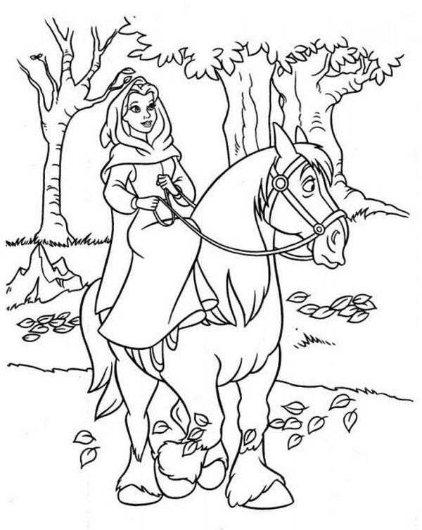 immagine Belle sul suo cavallo