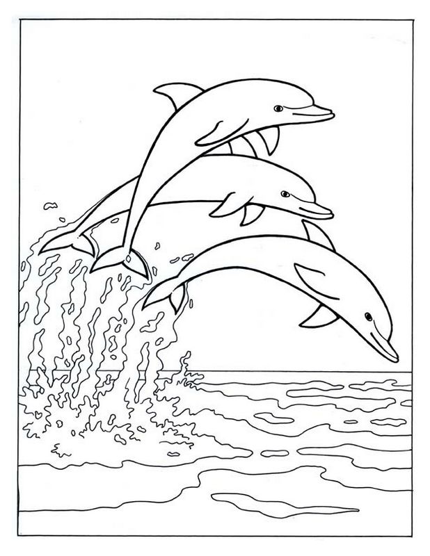 immagine Tre delfini nel mare