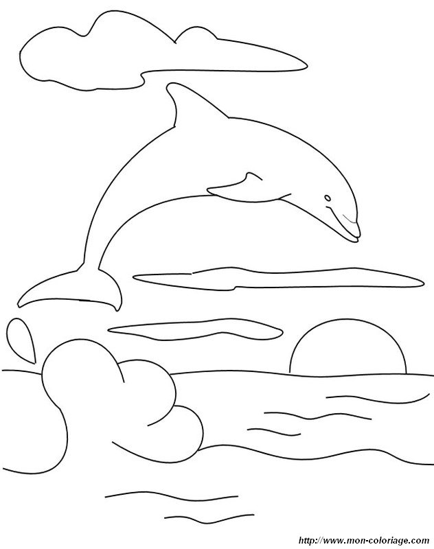 immagine sole e delfino che salta