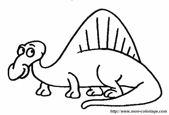 immagine 4 dinosauro