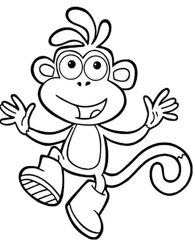 immagine Una piccola scimmia