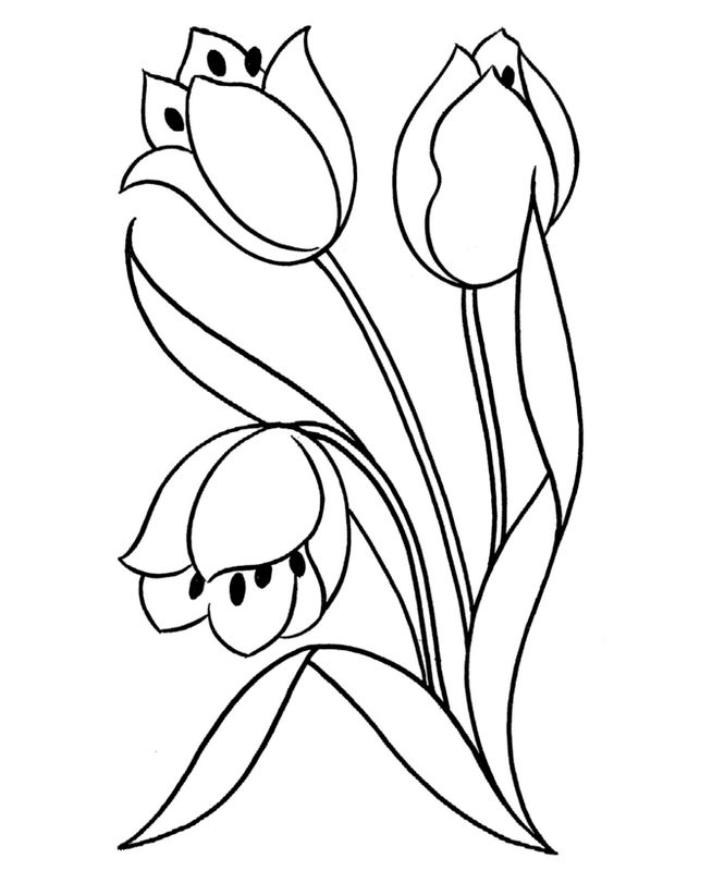 immagine Tulipano da colorare per bambini