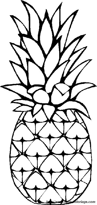 immagine ananas 1