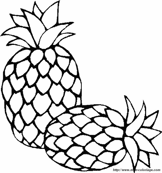 immagine ananas