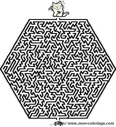 immagine labirinto animali