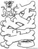 Un labirinto per il cane