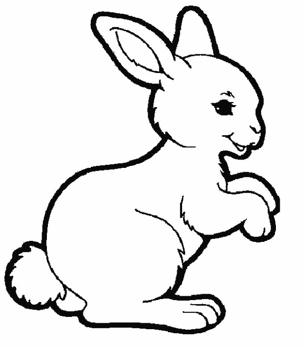 immagine Un coniglio sorridente