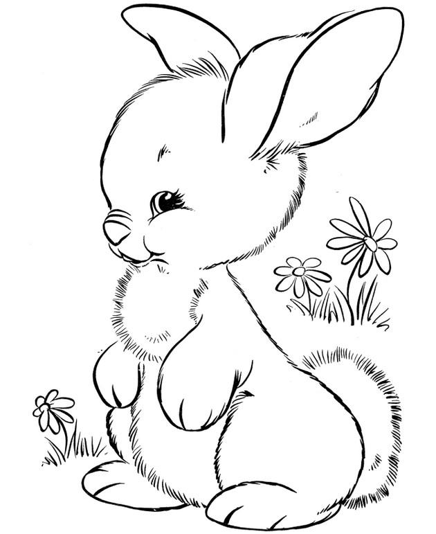 immagine Un piccolo coniglio giovane