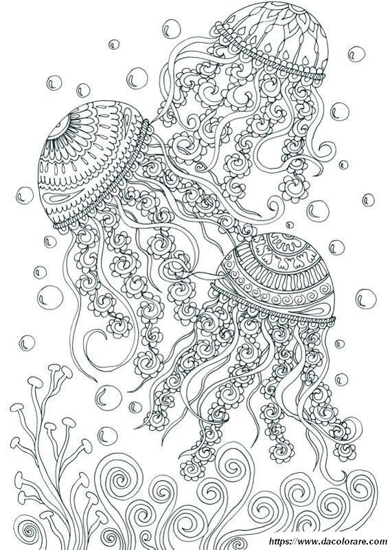 immagine Le meduse nel mare