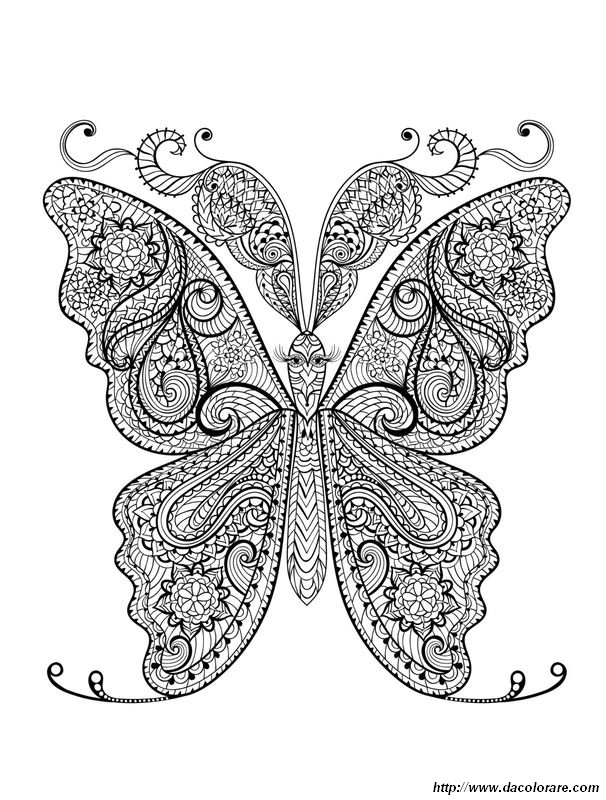 immagine Una farfalla molto particolare