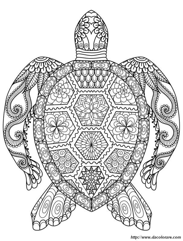 immagine Una tartaruga