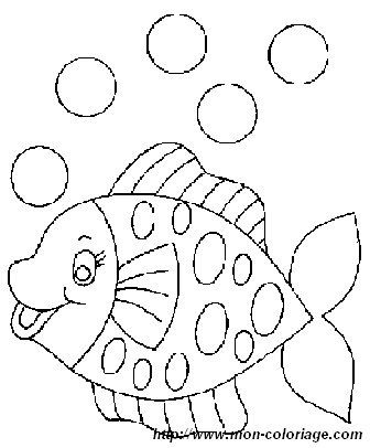 immagine pesce