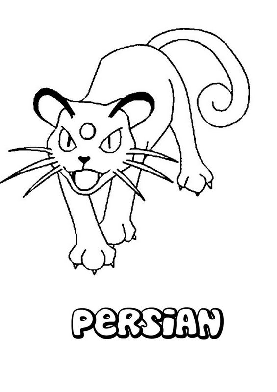 immagine Gatto persiano