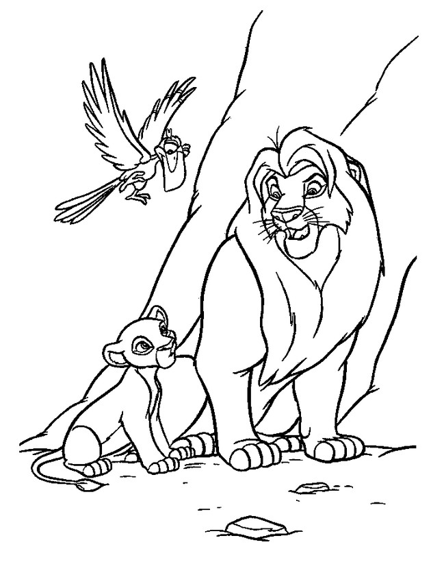 immagine Mufasa Simba e Zazu
