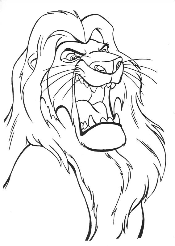 immagine il re leone 4