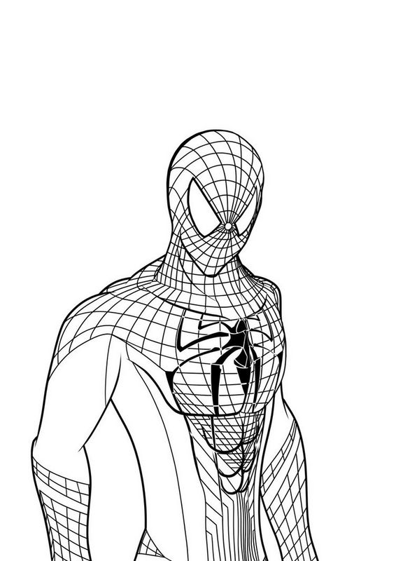 immagine Disegni da colorare spiderman