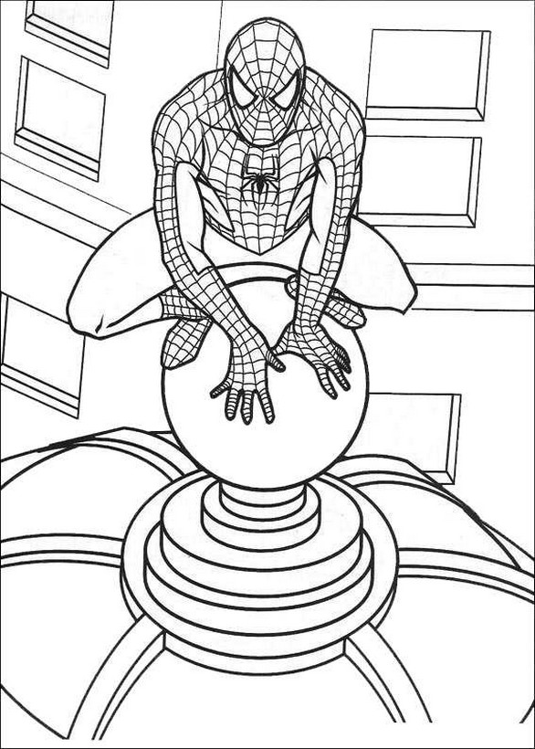 immagine Spiderman sul tetto