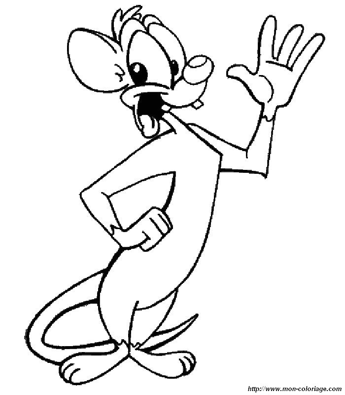 immagine disegni animaniacs