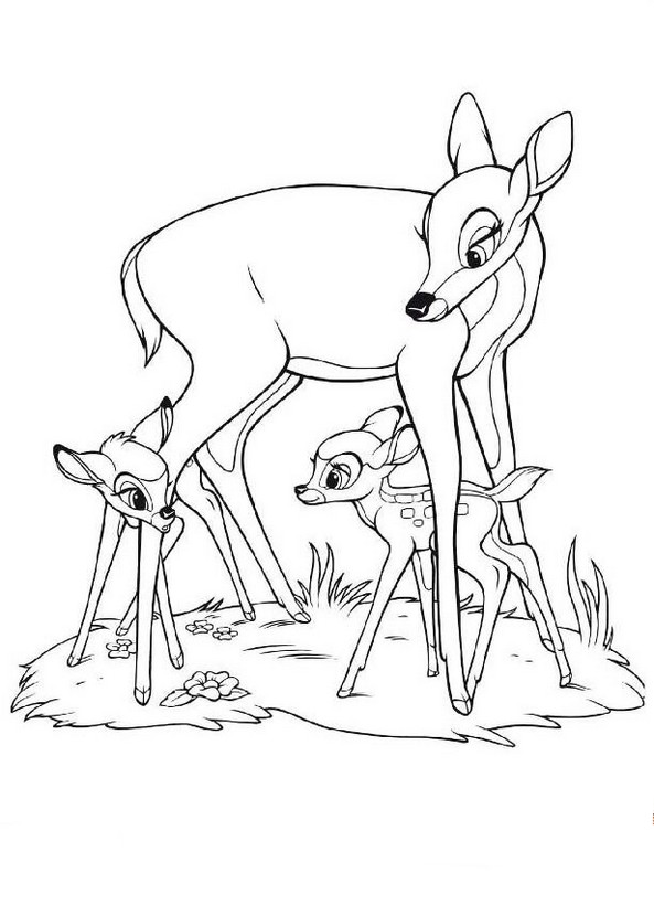 immagine Bambi con sua madre