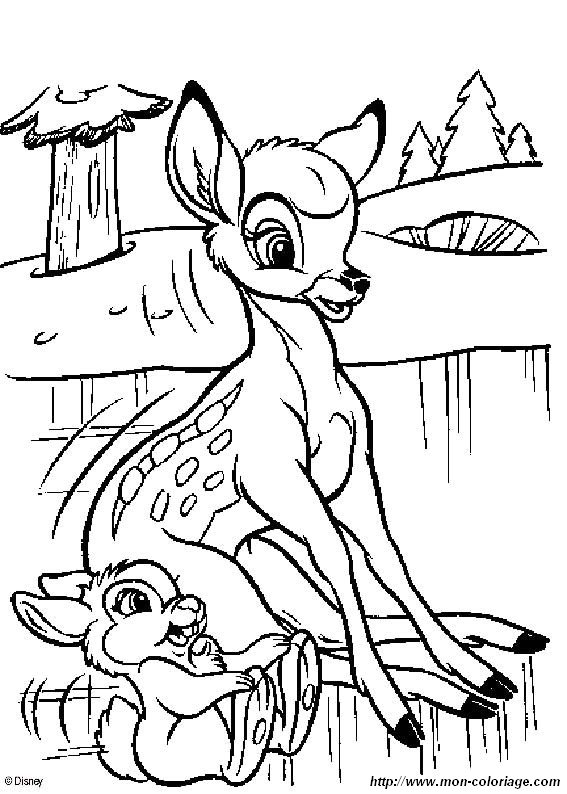 immagine Bambi 02