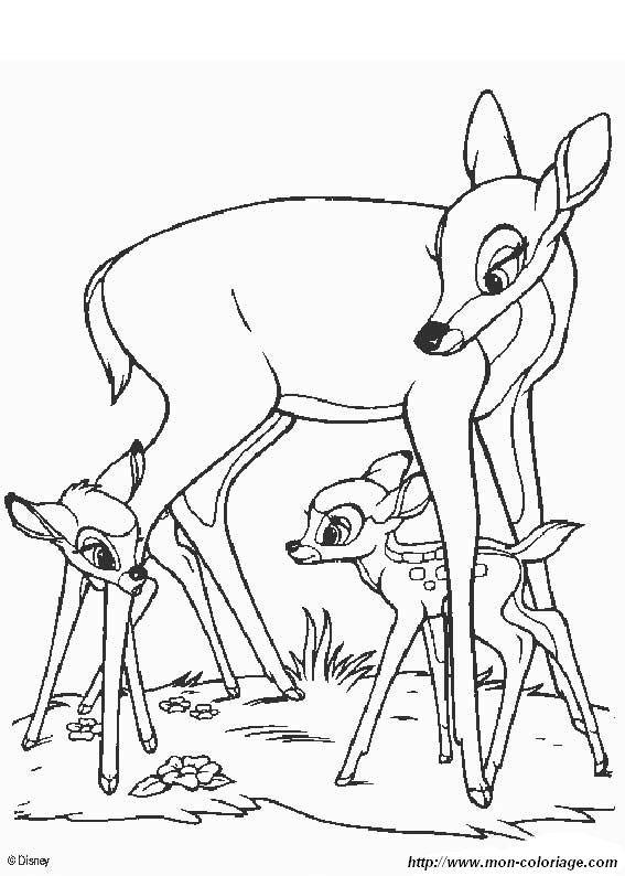 immagine Bambi 08