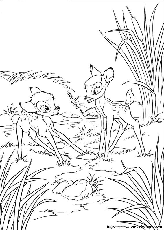 immagine Bambi 23