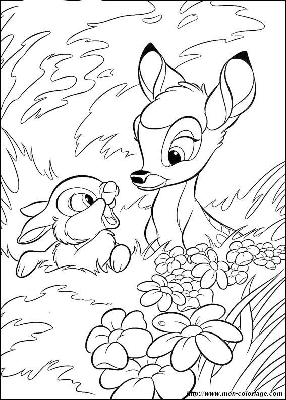 immagine Bambi 28