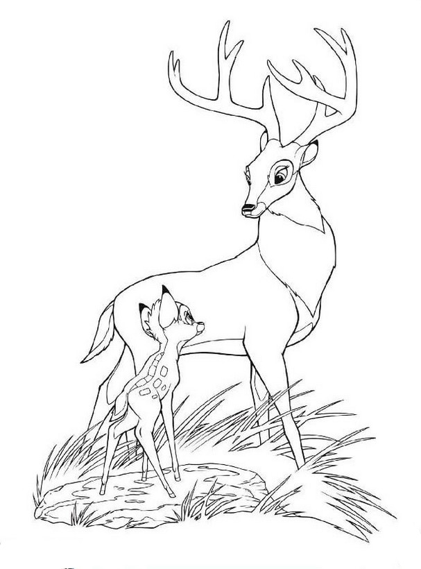 immagine Il padre di bambi