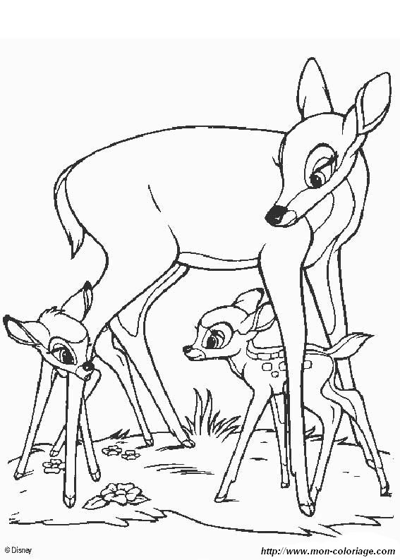 immagine bambi 1