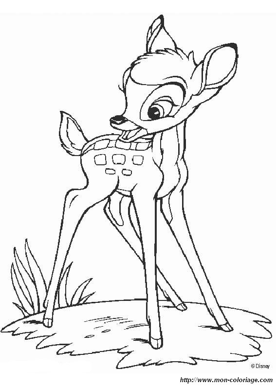 immagine disegni bambi