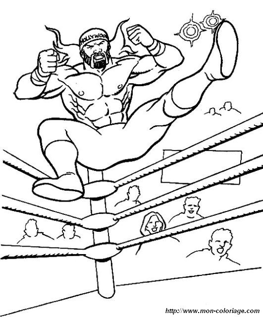 immagine wrestling 2