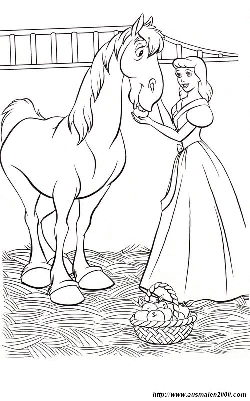 immagine Le mele per il suo cavallo