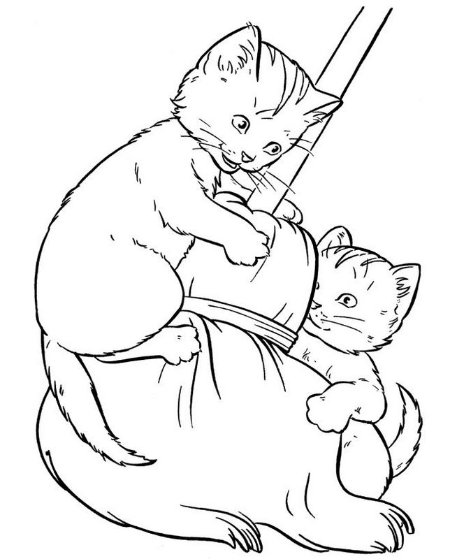 immagine Due gatti con una scopa