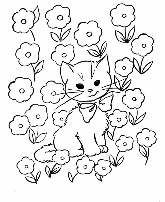 immagine Molti fiori con un gatto