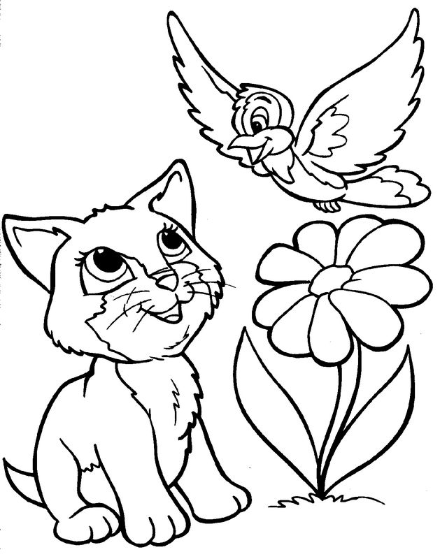 immagine Un fiore un uccello e un gatto