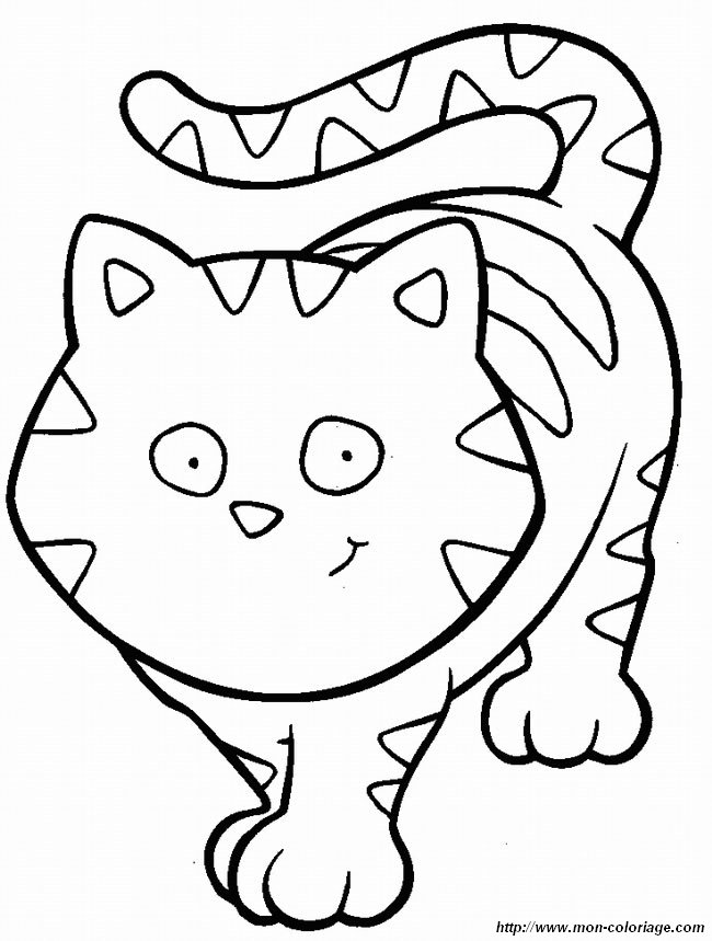 immagine disegni gatto