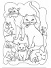 La famiglia di gatto