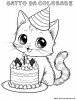 Un bel compleanno per il nostro gatto