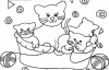 gatti 8