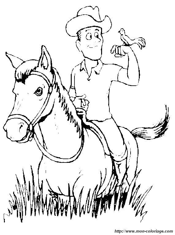immagine 14 cavallo