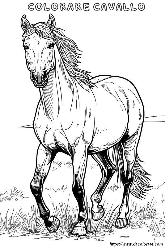 immagine E un bellissimo cavallo