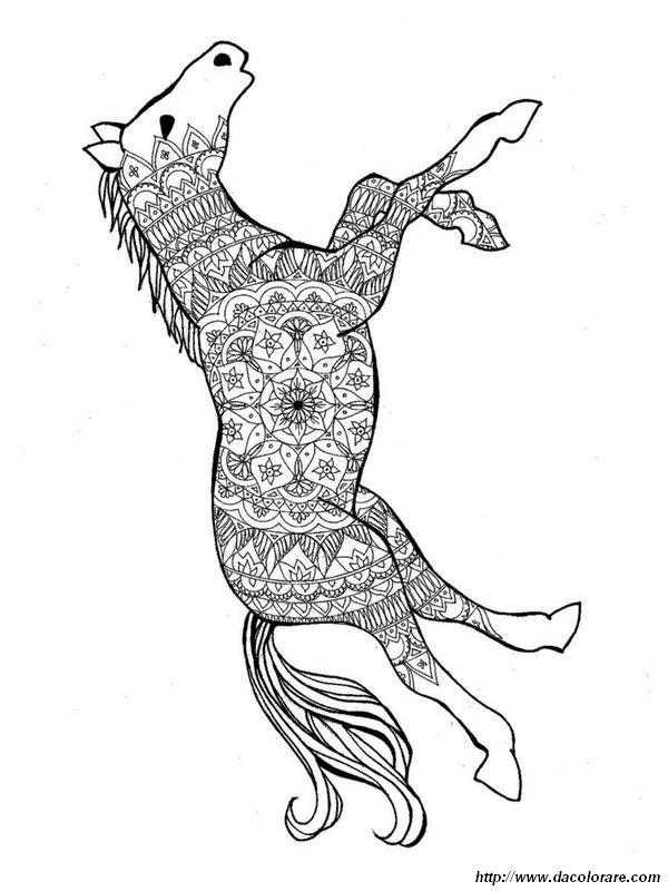 immagine Mandala su un cavallo