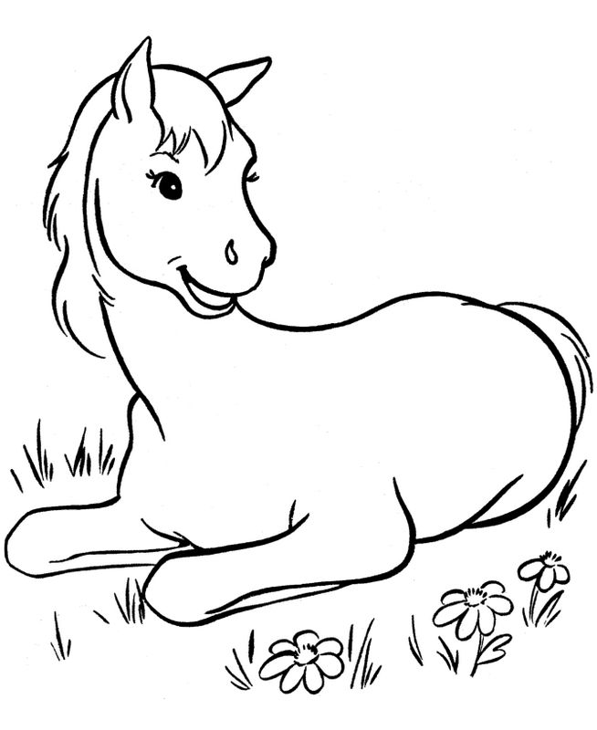 immagine Un piccolo cavallo cordiale e sorridente
