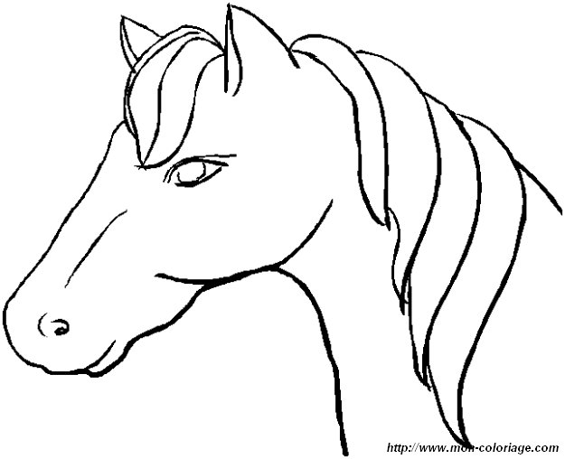 immagine cavallo 1
