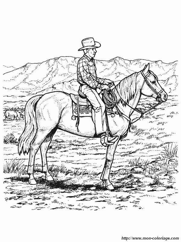 immagine cow boy sul suo cavallo