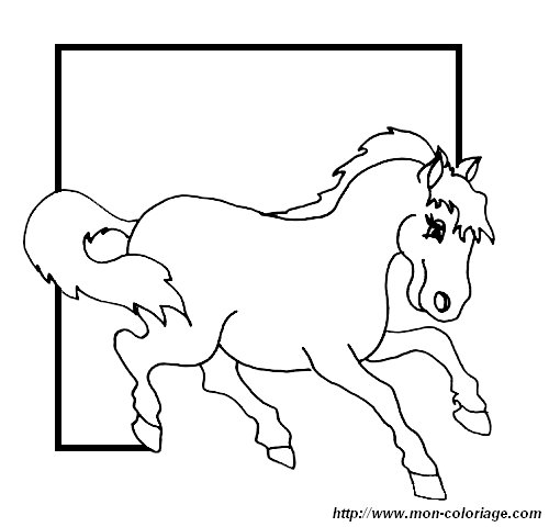 immagine un cavallo 2