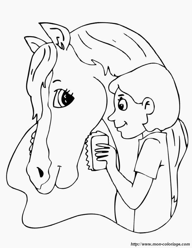 immagine un cavallo felice