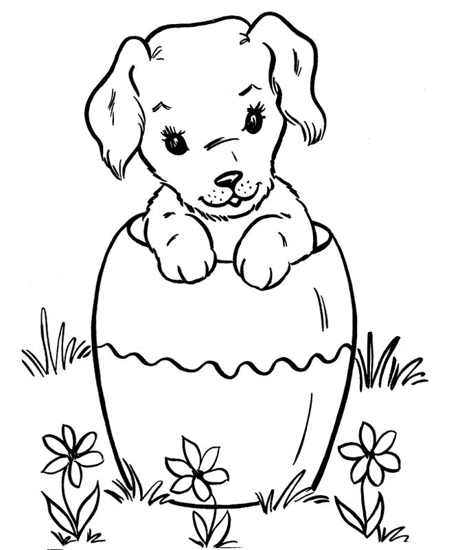 immagine Piccolo cane per Pasqua
