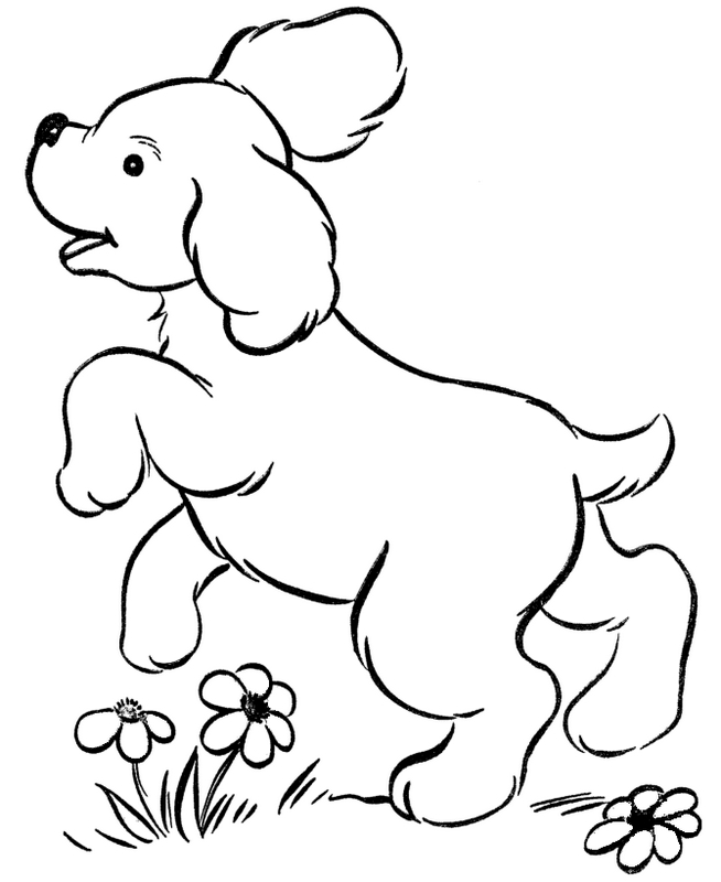 immagine Un cane in fiori